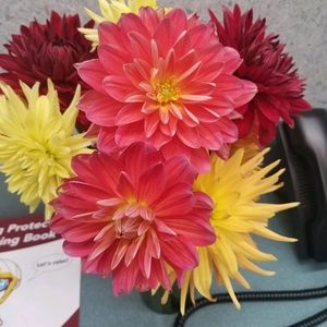 Meet your Posher, Leslie